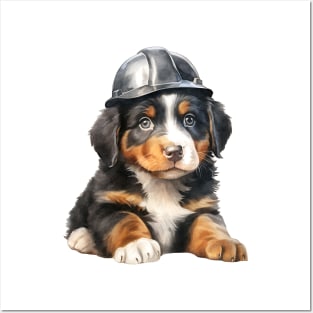 Bernese Mountain Dog in Helmet Posters and Art